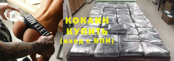 крисы Армянск