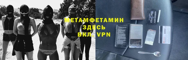 шишки Аркадак