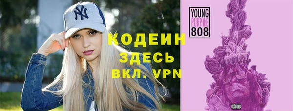 шишки Аркадак