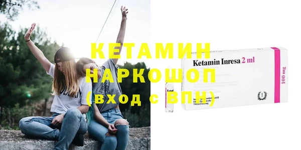 шишки Аркадак