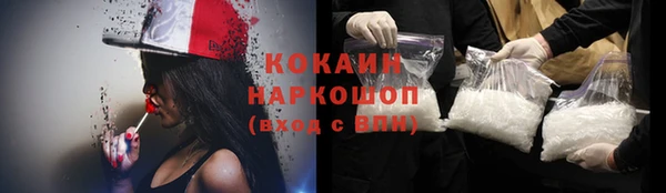 крисы Армянск