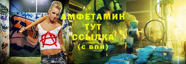 шишки Аркадак