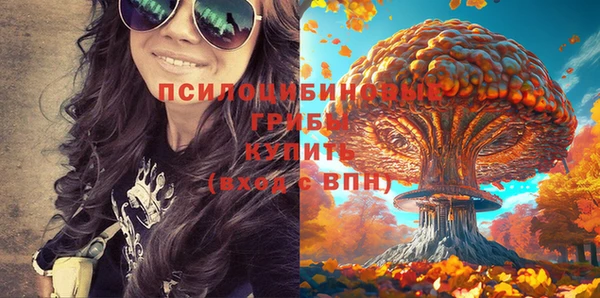 герыч Арсеньев