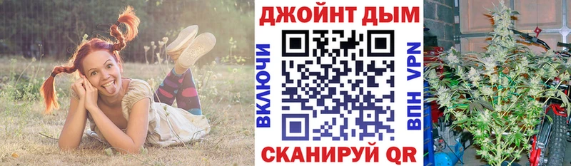 как найти наркотики площадка клад Шишки марихуана ГИДРОПОН Туринск